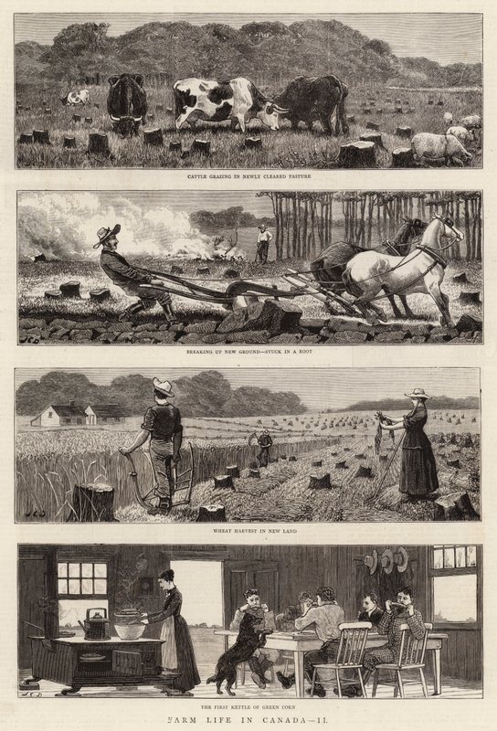 Maatilaelämä Kanadassa, II tekijältä John Charles Dollman