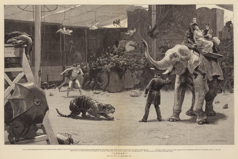 Löysää! tekijältä John Charles Dollman