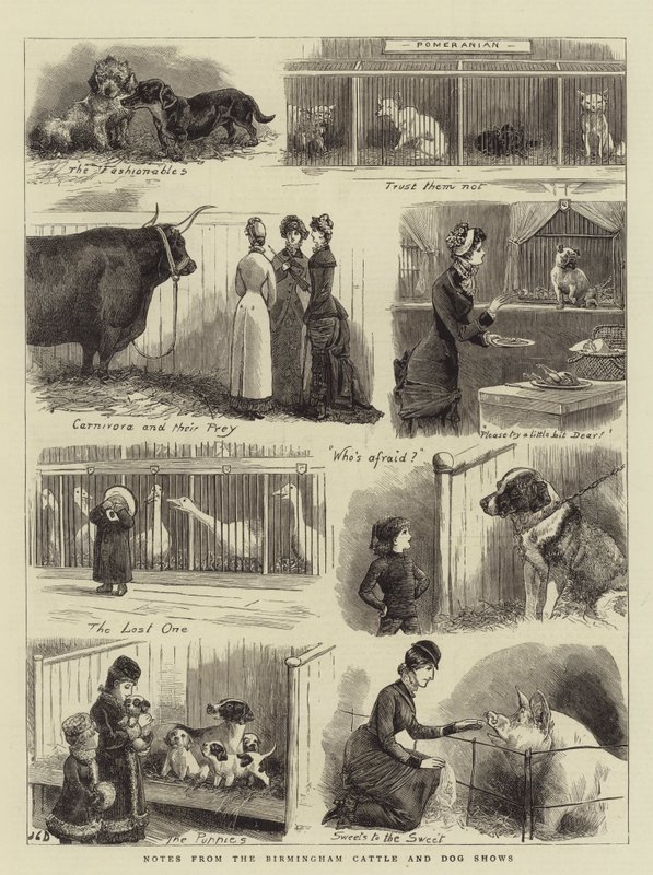 Muistiinpanoja Birminghamin karja- ja koiranäyttelyistä tekijältä John Charles Dollman
