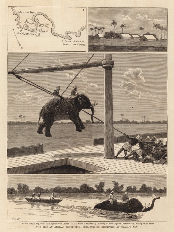Belgian Afrikka-retkikunta, norsujen maihinnousu Msasani Bayssä tekijältä John Charles Dollman