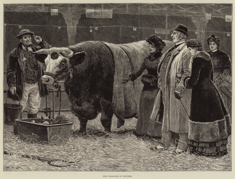 Menestyksen ilo tekijältä John Charles Dollman