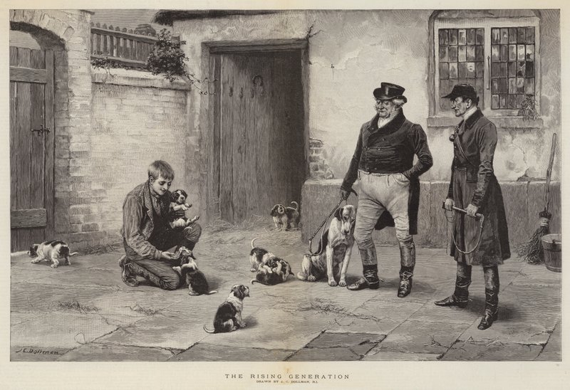 Nouseva sukupolvi tekijältä John Charles Dollman