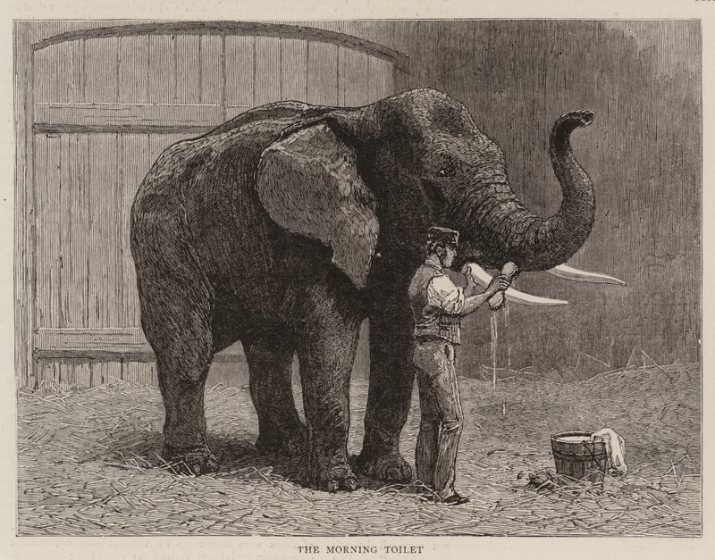 Vaellusta eläintarhassa tekijältä John Charles Dollman