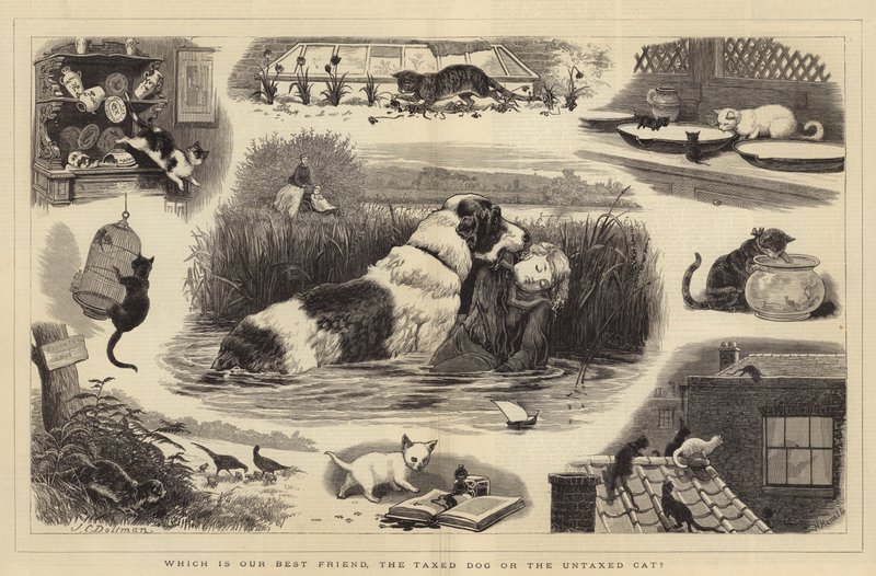 Kumpi on paras ystävämme, veronalainen koira vai veroton kissa? tekijältä John Charles Dollman