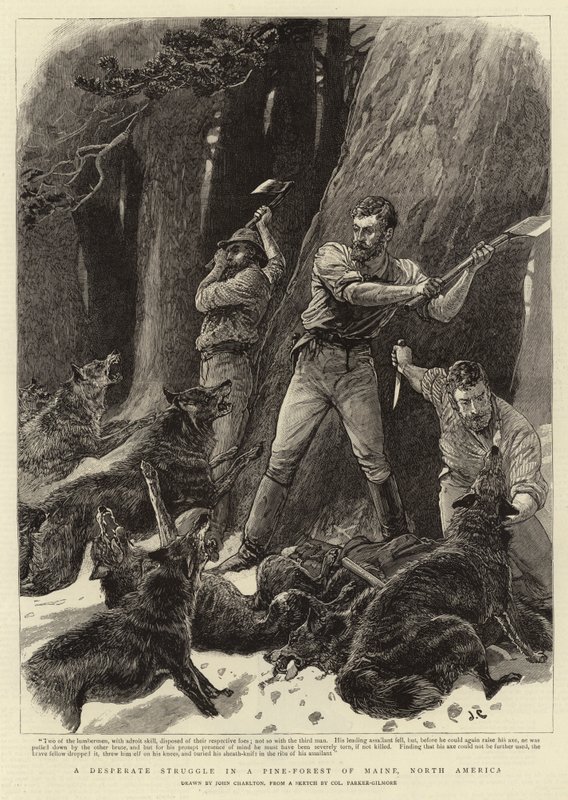 Epätoivoinen taistelu mäntymetsässä Mainessa, Pohjois-Amerikassa tekijältä John Charlton
