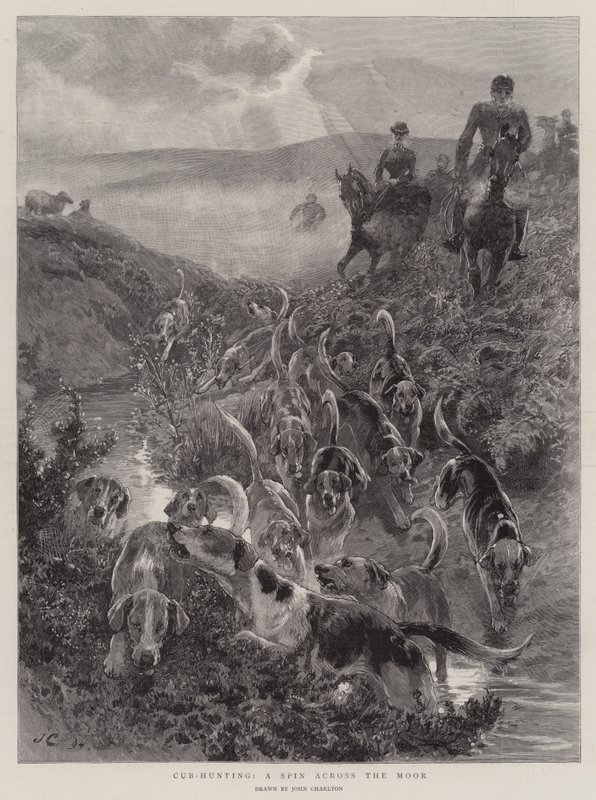 Cub-Hunting, pyöräily maurilla tekijältä John Charlton