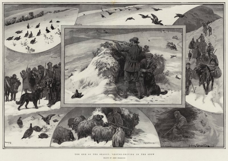Kauden päätös, Grouse-ajo lumessa tekijältä John Charlton