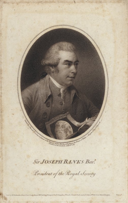 Sir Joseph Banks, englantilainen luonnontieteilijä, kasvitieteilijä ja Royal Societyn presidentti (kaiverrus) tekijältä John (after) Russell