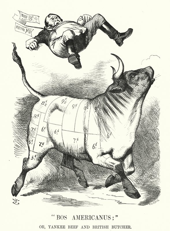 Punch sarjakuva: Bos Americanus; tai Yankee Beef ja British Butcher – odotetut hyödyt amerikkalaisen lihan tuomisesta kuluttajille (kaiverrus) tekijältä John (after) Tenniel