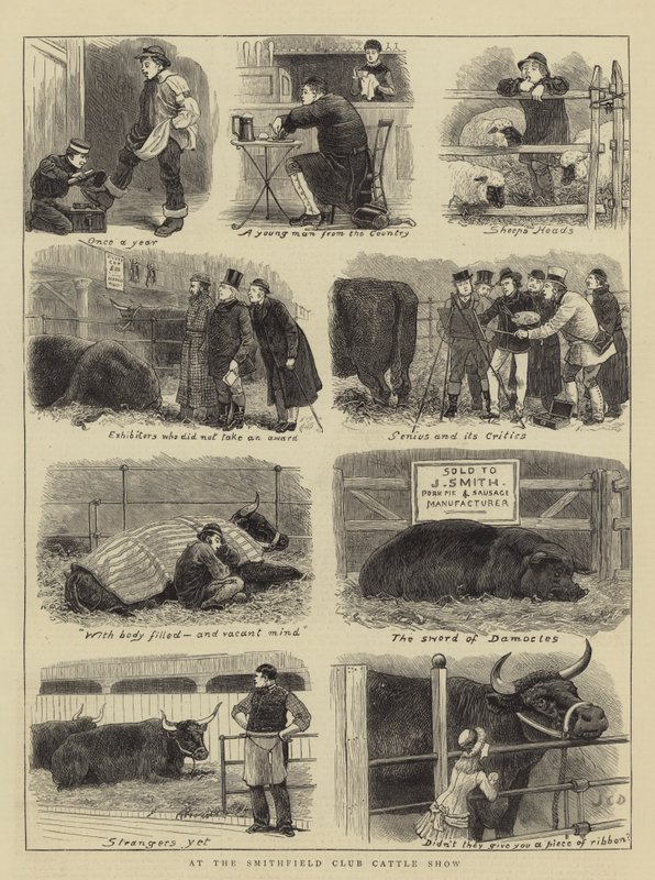 Smithfield Clubin karjanäyttelyssä tekijältä John Charles Dollman