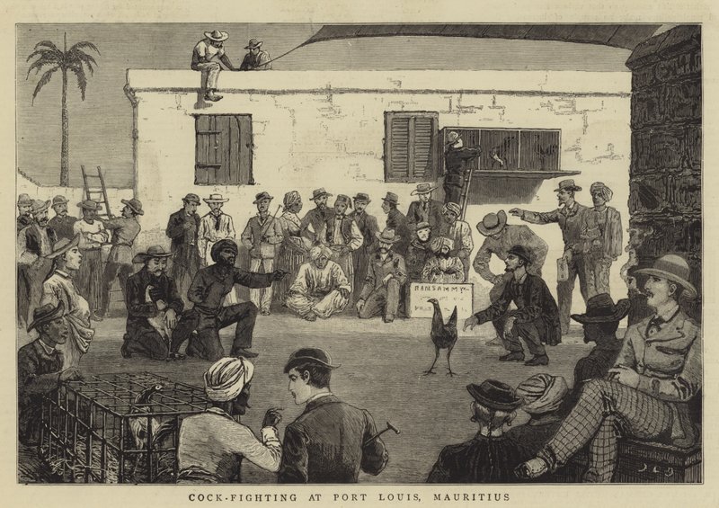 Kukkotaistelu Port Louisissa, Mauritiuksella tekijältä John Charles Dollman