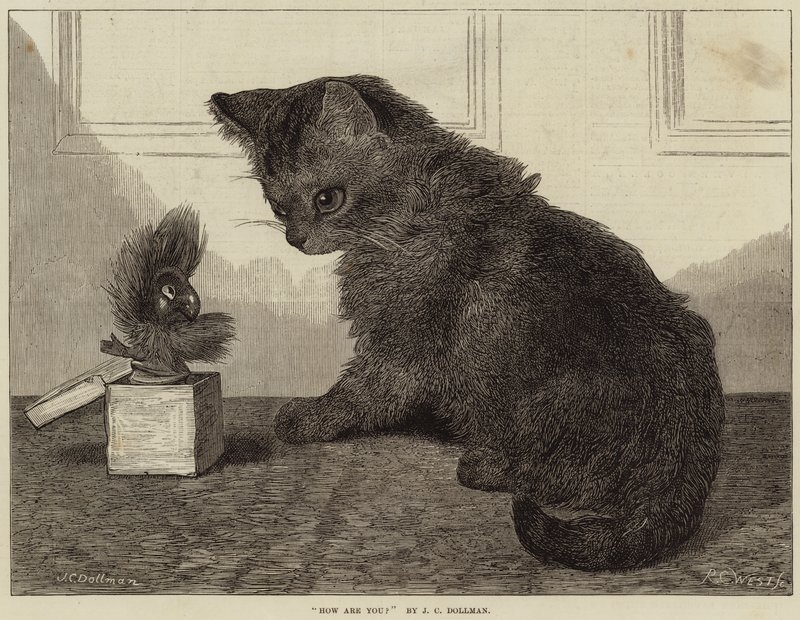 Mitä kuuluu tekijältä John Charles Dollman