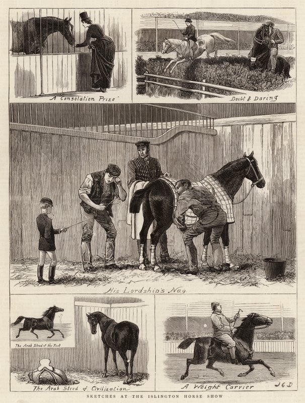 Luonnokset Islington Horse Showssa tekijältä John Charles Dollman