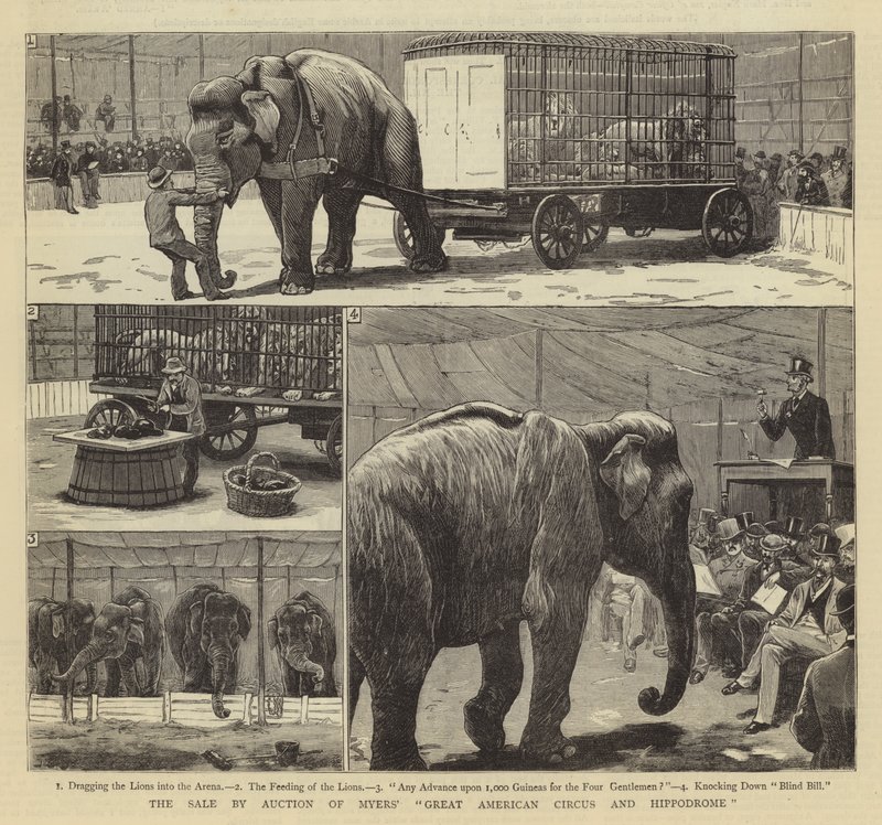 Myersin Great American Circusin ja Hippodromin myynti huutokaupalla tekijältä John Charles Dollman