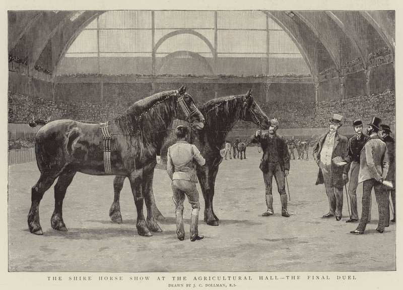 Shire Horse Show maataloushallissa, viimeinen kaksintaistelu tekijältä John Charles Dollman