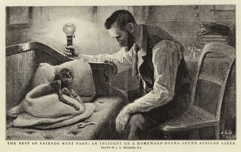 Parhaiden ystävien täytyy erota, välikohtaus kotiin suuntautuvalla eteläafrikkalaisella laivalla tekijältä John Charles Dollman