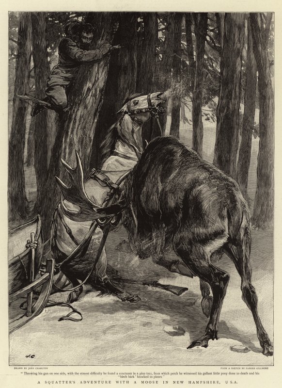 Squatterin seikkailu hirven kanssa New Hampshiressa, Yhdysvalloissa tekijältä John Charlton