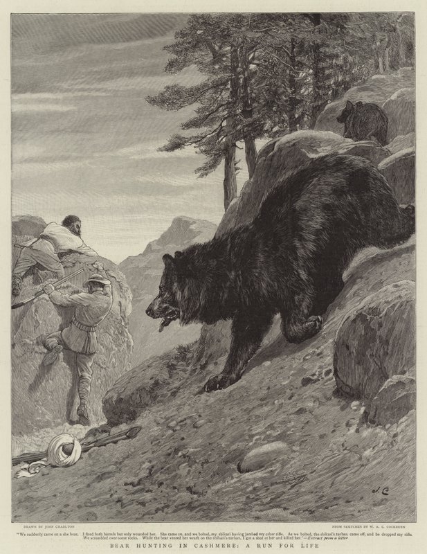Karhunmetsästys Cashmeressa, elämän juoksu tekijältä John Charlton