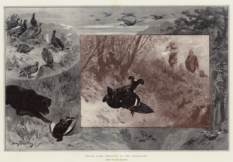 Black Game Shooting in the Highlands tekijältä John Charlton