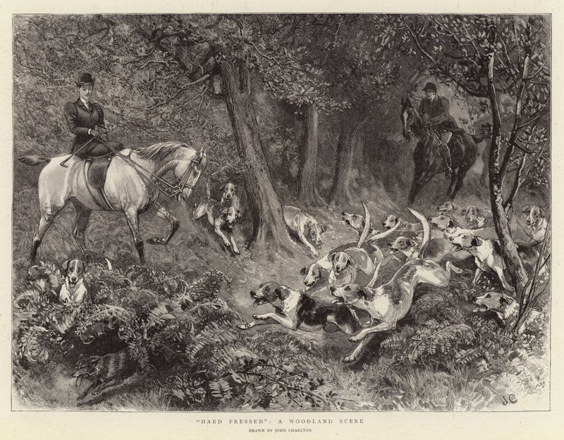 Hard Pressed, Woodland Scene tekijältä John Charlton