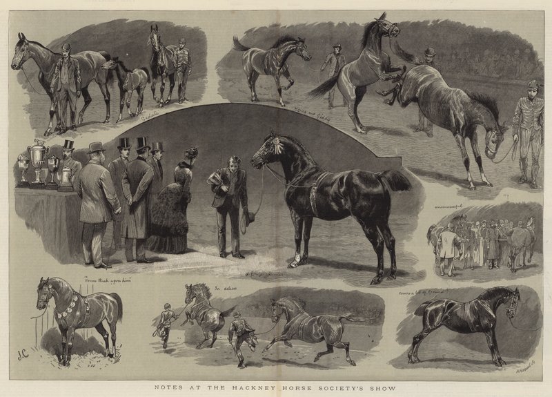 Muistiinpanot Hackney Horse Society Showssa tekijältä John Charlton