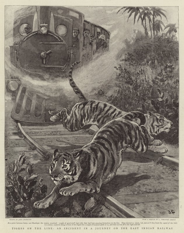 Tigers on the Line, välikohtaus matkalla Itä-Intian rautateillä tekijältä John Charlton