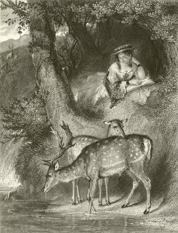Vuoren yksinäisyys tekijältä John Corbould