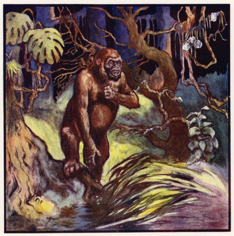 Edessämme seisoi valtava gorilla (värinen lito) tekijältä John Edwin Noble