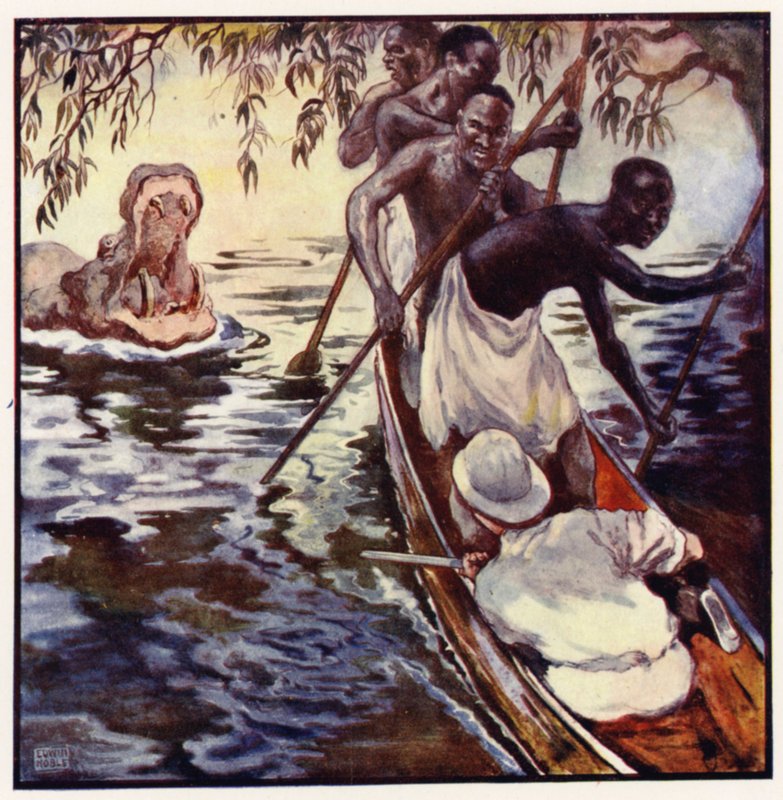 Hän ryntäsi avoleukaisena pienessä simpukankuoressamme (värinen lito) tekijältä John Edwin Noble