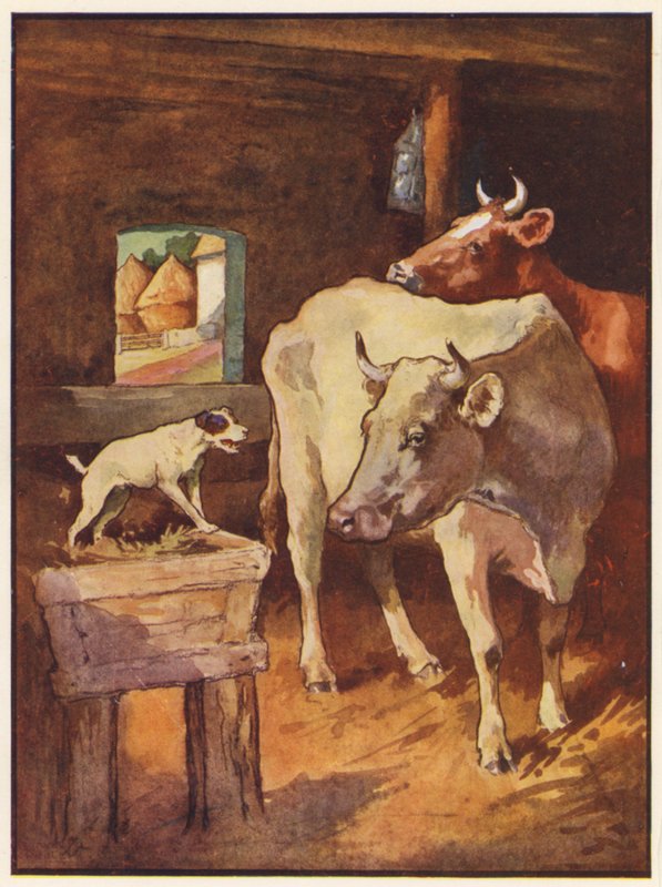 Koira seimessä (väri litho) tekijältä John Edwin Noble