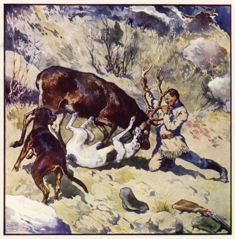 Tappelu olisi ollut katsojalle mielenkiintoinen ja jännittävä (värilitho) tekijältä John Edwin Noble