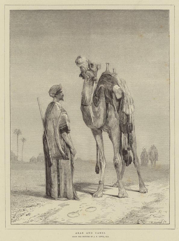 arabi ja kameli tekijältä John Frederick Lewis