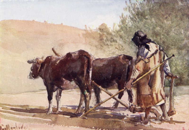 Kyntö Öljymäellä (väri litho) tekijältä John Fulleylove