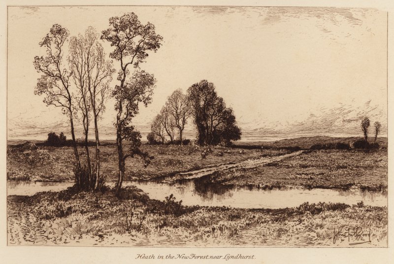 Heath New Forestissa, lähellä Lyndhurstia (kaiverrus) (kaiverrus) tekijältä John Fullwood