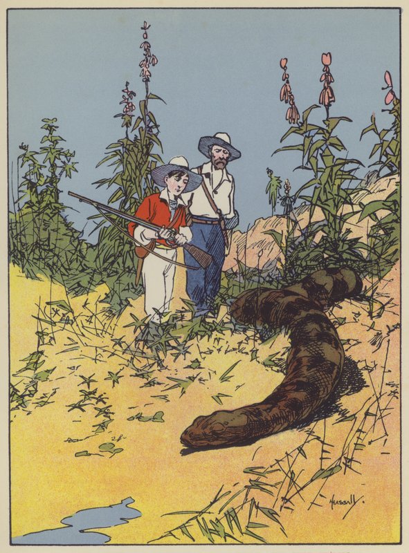 Kuvitus Swiss Family Robinsonille (väri litho) tekijältä John Hassall