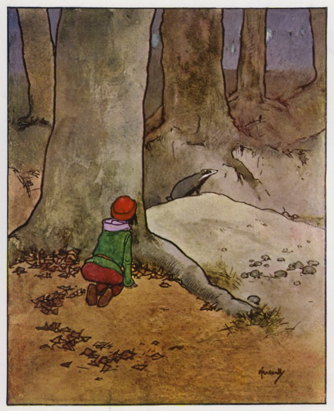 Mäyrä (väri litho) tekijältä John Hassall
