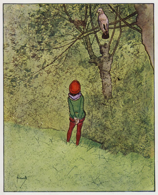 Jay (väri litho) tekijältä John Hassall