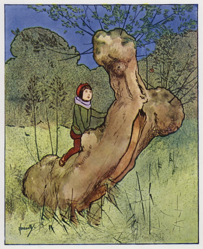 Wren (väri litho) tekijältä John Hassall