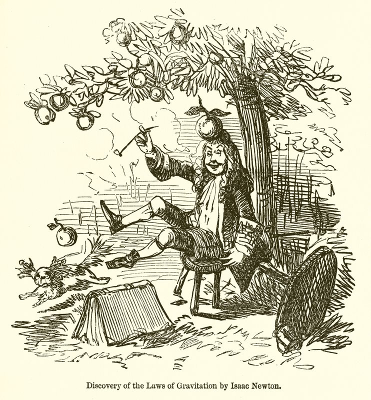 Isaac Newtonin gravitaatiolain löytäminen tekijältä John Leech