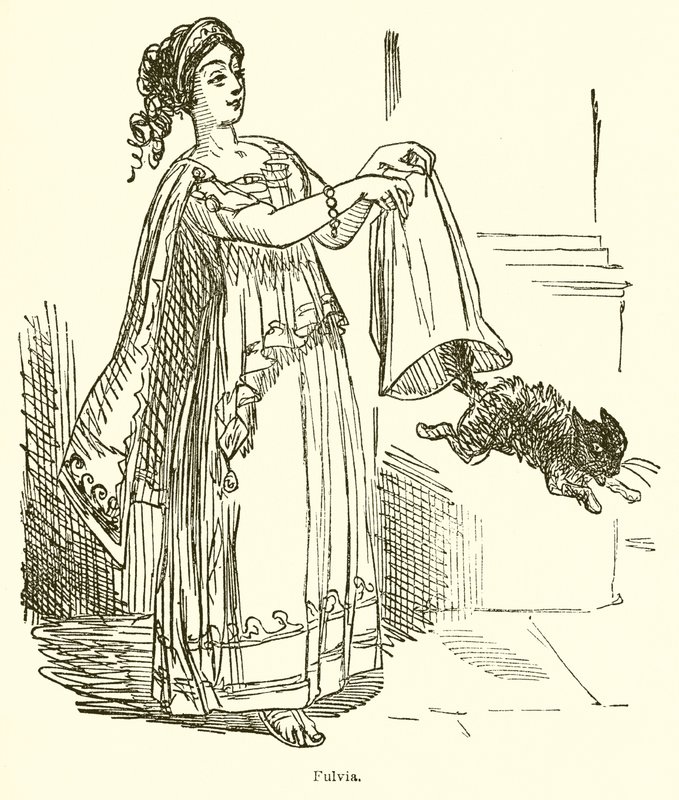 Fulvia tekijältä John Leech