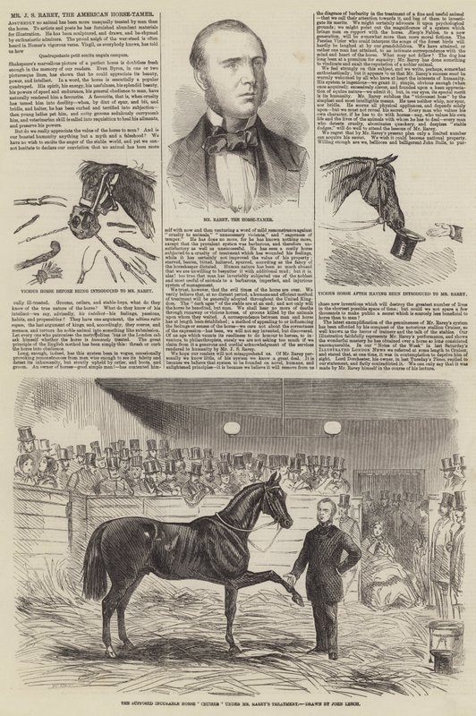 Herra J S Rarey, amerikkalainen hevoskesyttäjä tekijältä John Leech