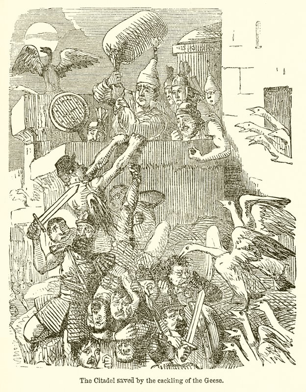 Hanhien kaakatuksen pelastama Citadel tekijältä John Leech