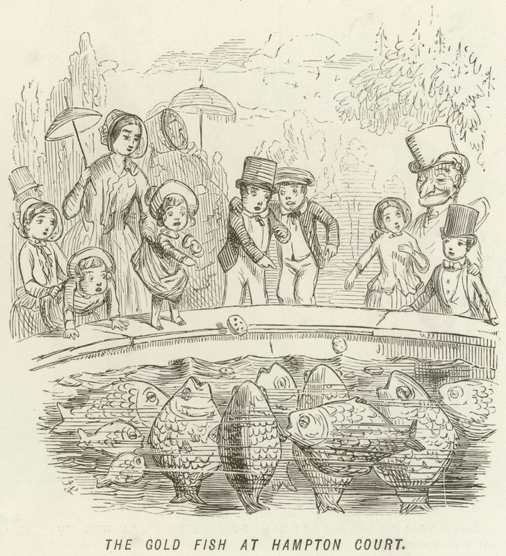 Kultakala Hampton Courtissa tekijältä John Leech