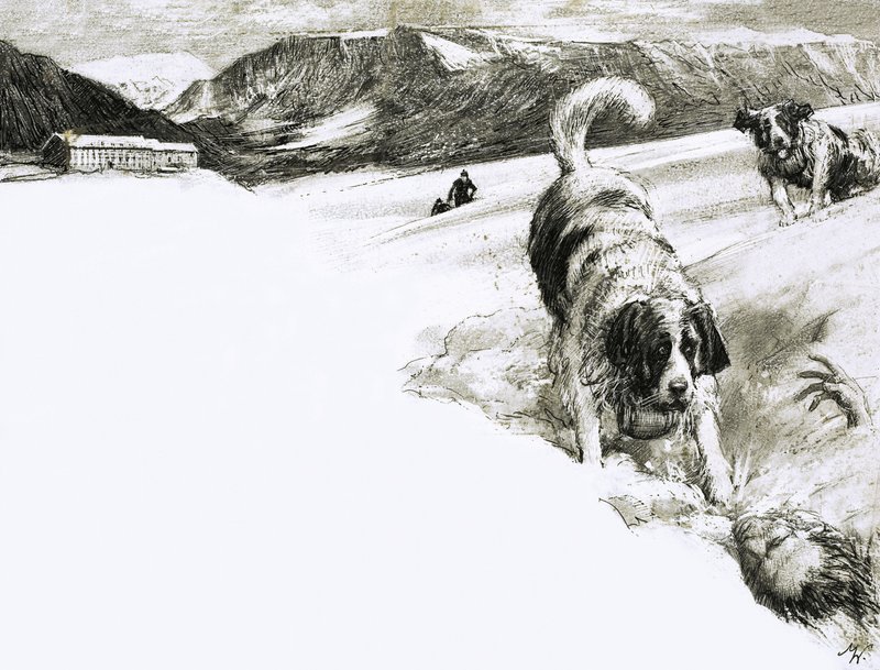 Siksi... Näitä vuoristokoiria kutsutaan berninpaimenkoiriksi. tekijältä John Millar Watt