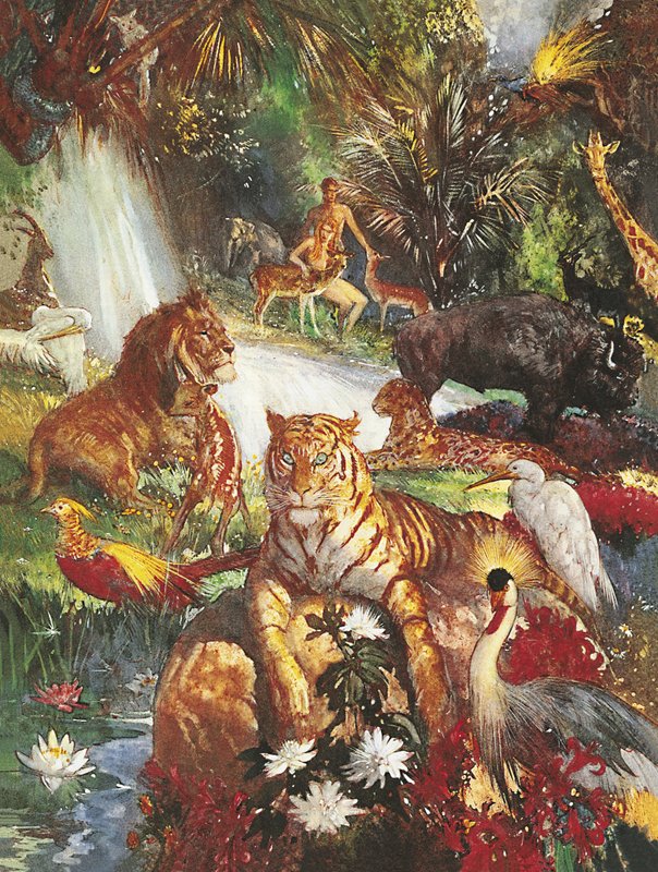 Eedenin puutarha tekijältä John Millar Watt