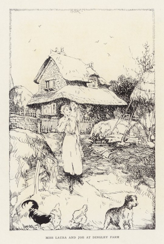 Marshall Saundersin kuvitus Kaunis Joe (litografia). tekijältä John Nicholson