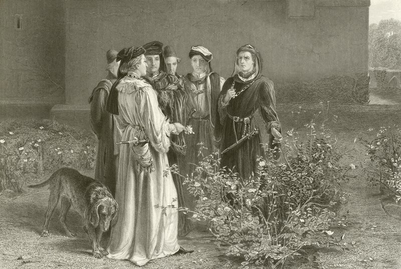 Kilpailevat ruusut tekijältä John Pettie