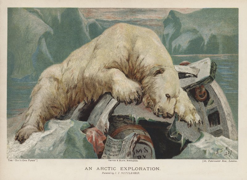 Arktinen tutkimus: jääkarhu, joka tutkii esineitä arktiselta tutkimusmatkalta (chromolitho) tekijältä John Trivett Nettleship
