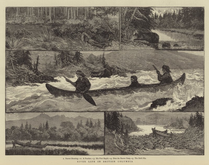River Life Brittiläisessä Kolumbiassa tekijältä Joseph Nash