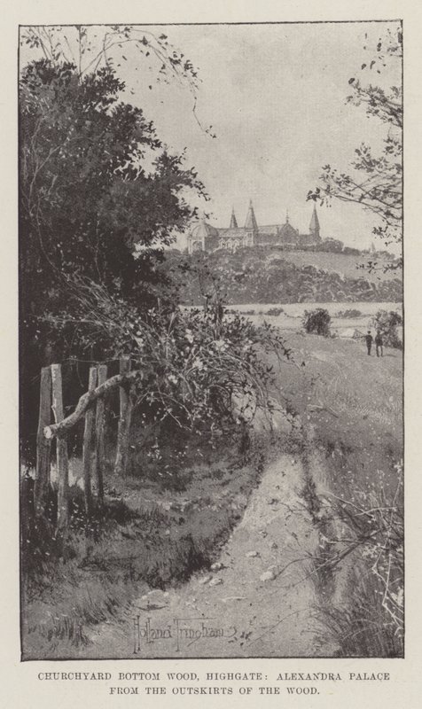 Churchyard Bottom Wood, Highgate, Alexandra Palace metsän laidalta katsottuna. tekijältä Joseph Holland Tringham